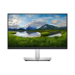 Dell Professional P2222H